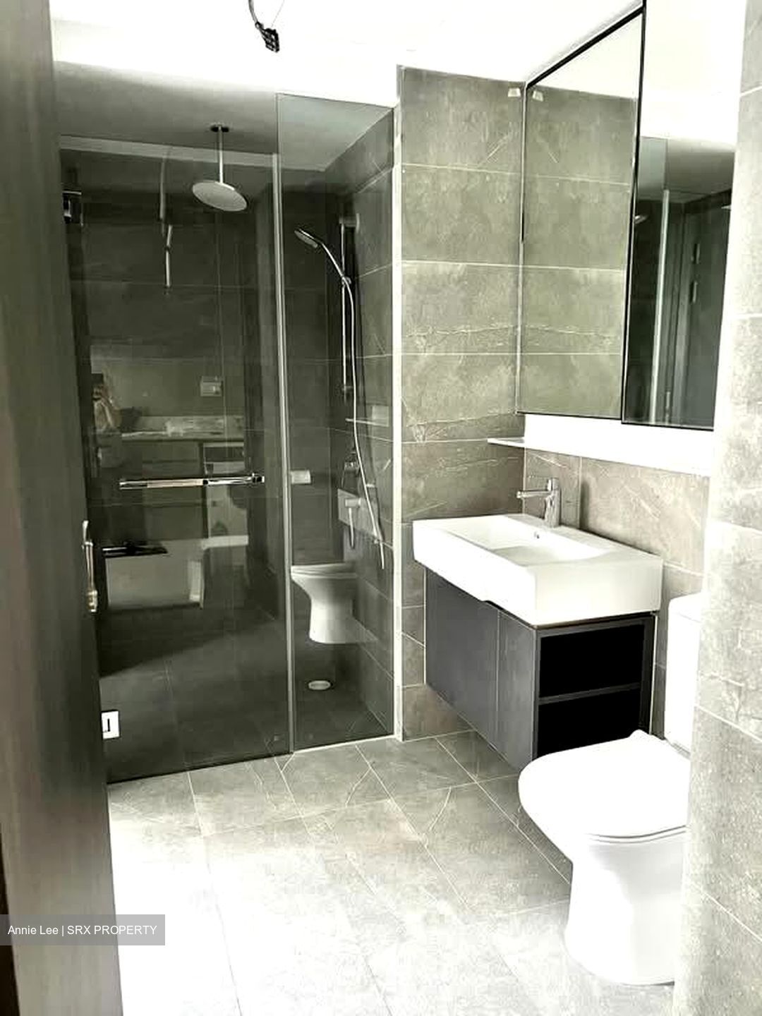 Riverfront Residences (D19), Apartment #578083401